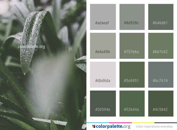 Water Leaf Dew Color Palette