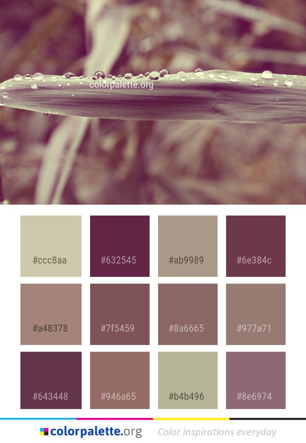 Water Macro Photography Close Up Color Palette