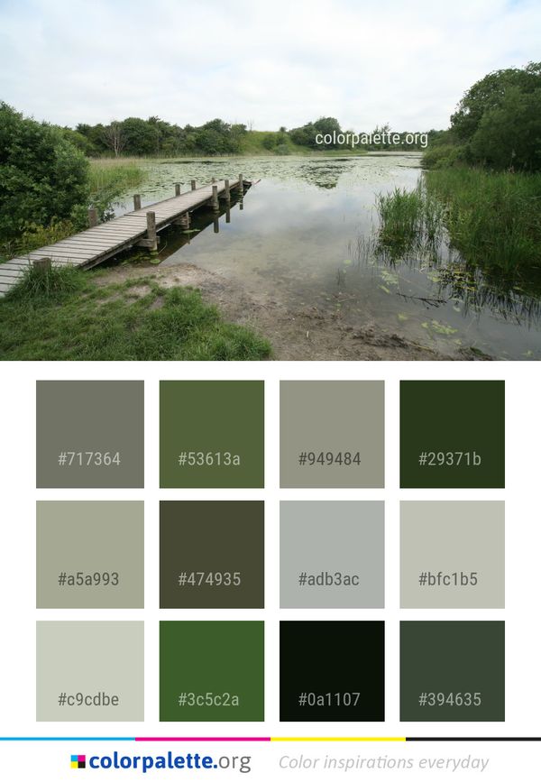 Waterway Nature Reserve Water Resources Color Palette