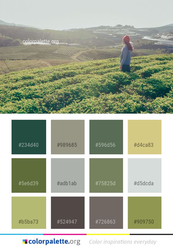 Agriculture Field Highland Color Palette