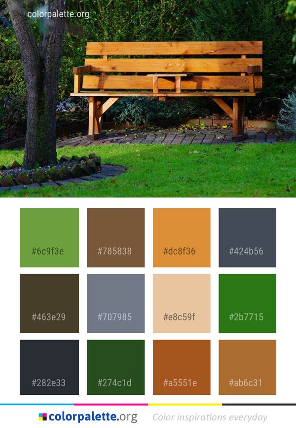 Bench Furniture Grass Color Palette