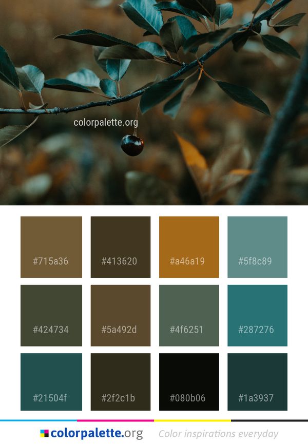 Branch Plant Leaf Color Palette