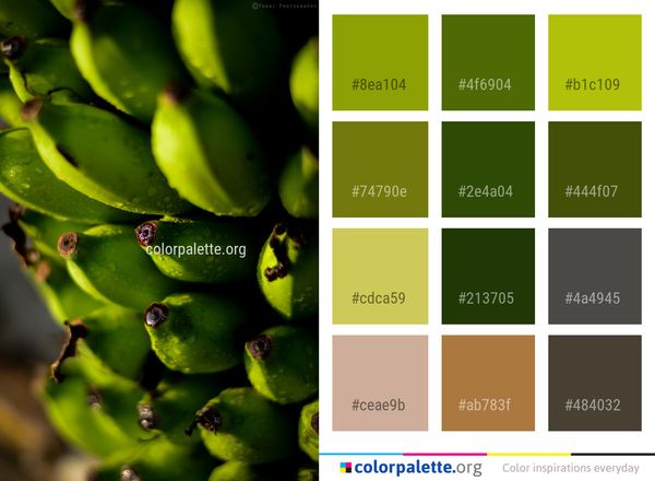 Close Up Water Macro Photography Color Palette