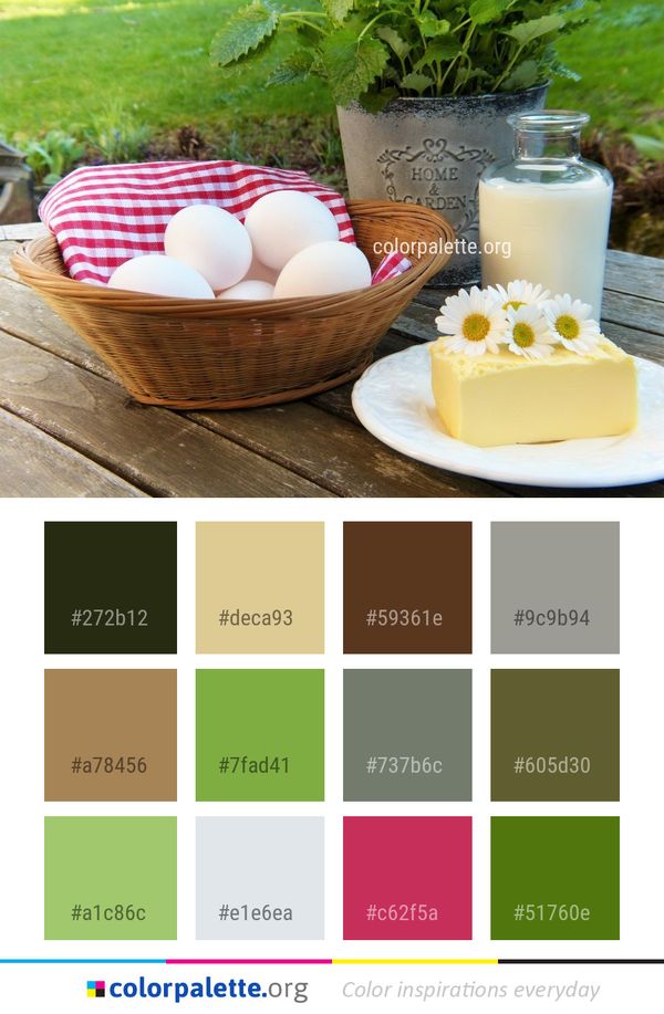 Dairy Product Egg Food Color Palette