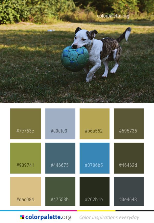 Dog Breed Grass Color Palette