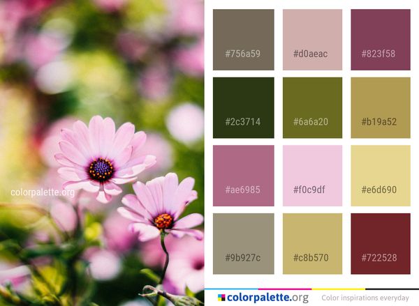 Flower Pink Flora Color Palette