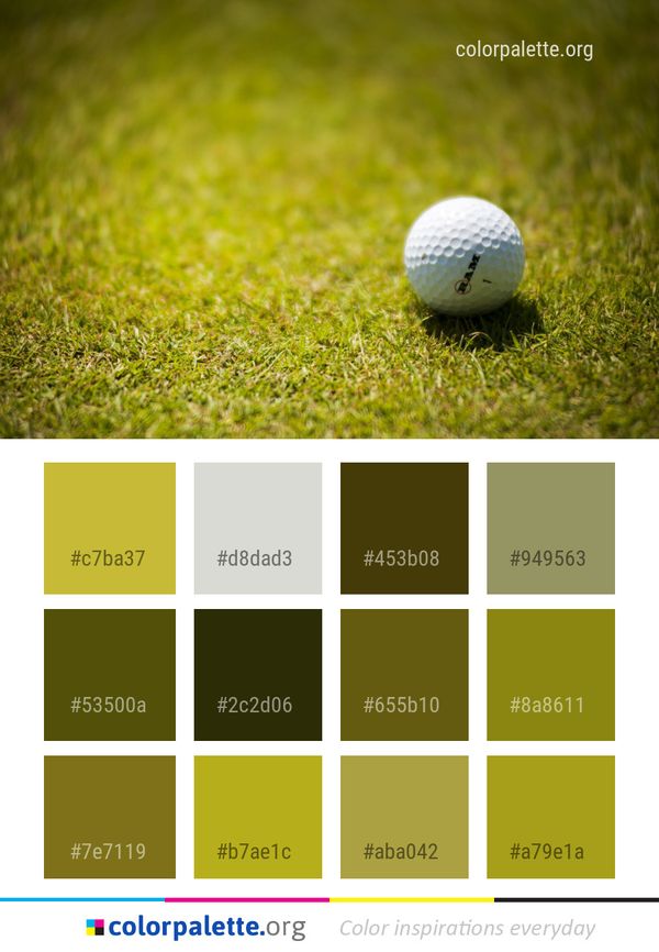 Green Football Grass Color Palette
