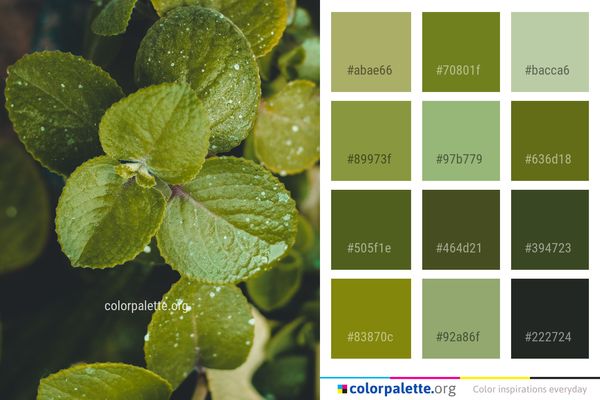 Green Leaf Water Color Palette