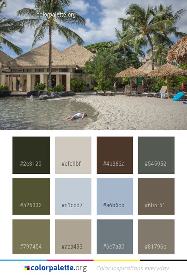 Resort Property Palm Tree Color Palette