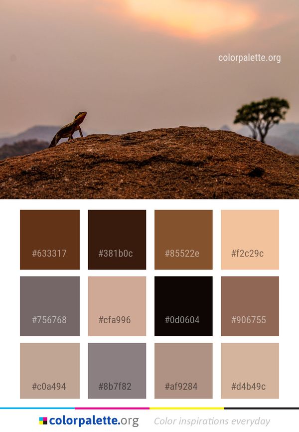Sky Ecosystem Fauna Color Palette