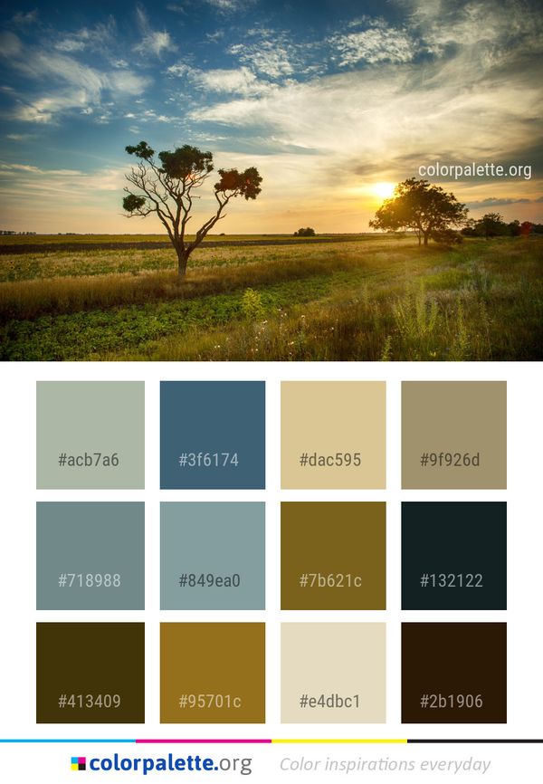 Sky Grassland Nature Color Palette