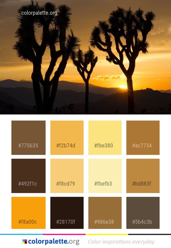 Sky Tree Palm Color Palette