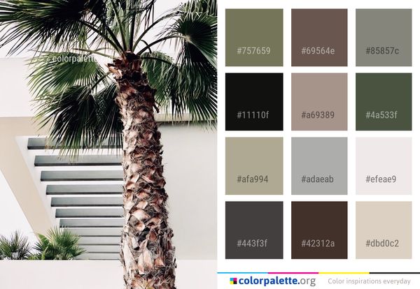 Tree Arecales Palm Color Palette