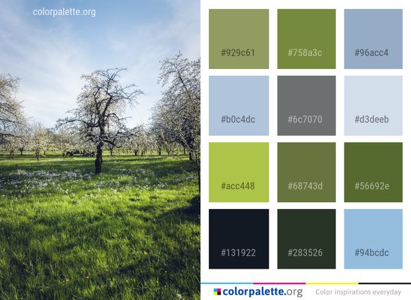 Tree Sky Nature Color Palette