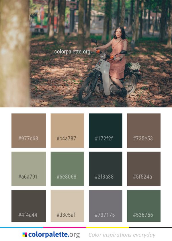 Tree Woody Plant Color Palette