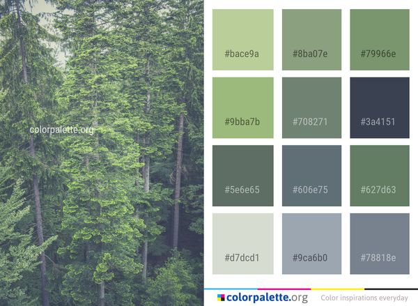 Ecosystem Vegetation Tree Color Palette