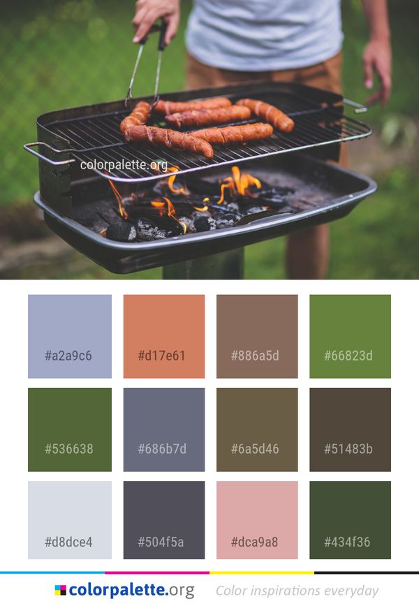 Grilling Barbecue Outdoor Grill Color Palette