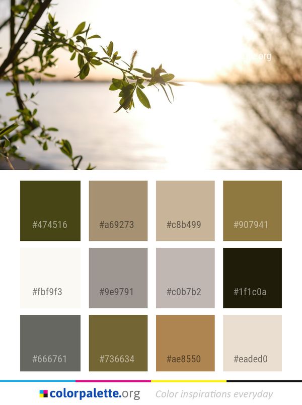 Leaf Branch Flora Color Palette