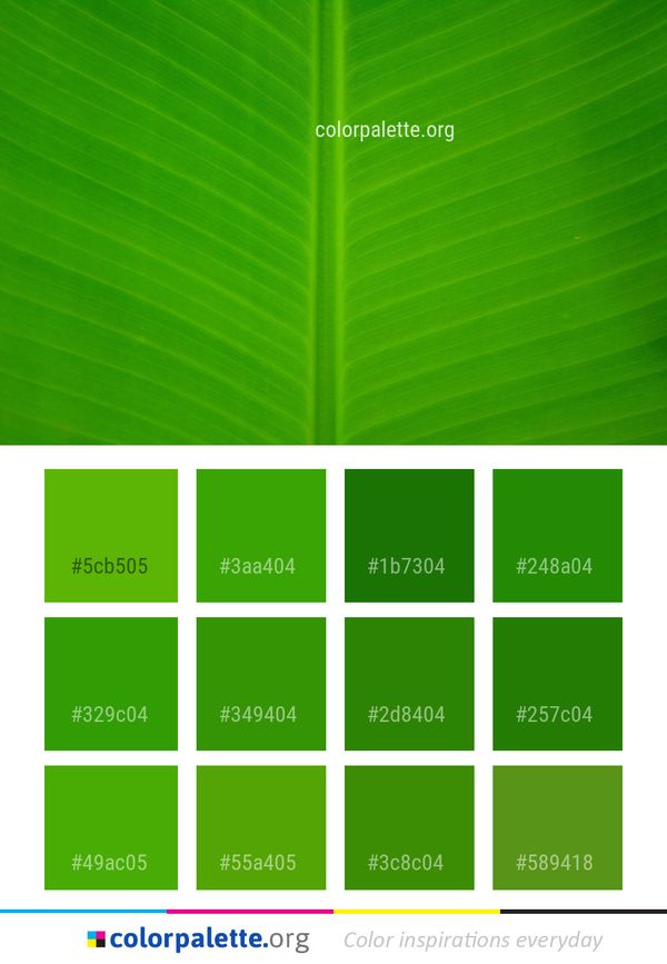 Leaf Green Plant Color Palette