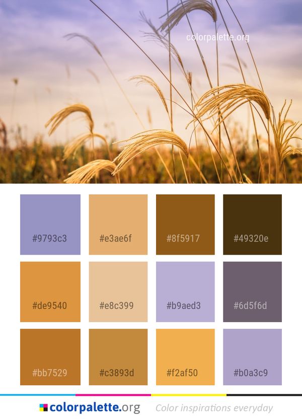 Sky Field Rye Color Palette
