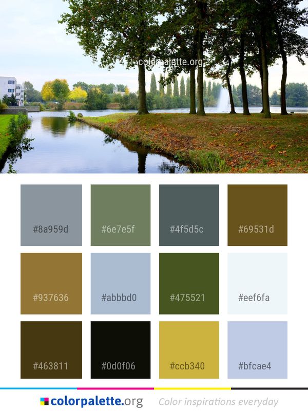 Water Reflection Nature Color Palette