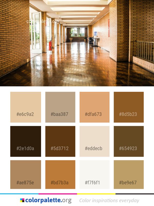 Floor Lobby Flooring Color Palette