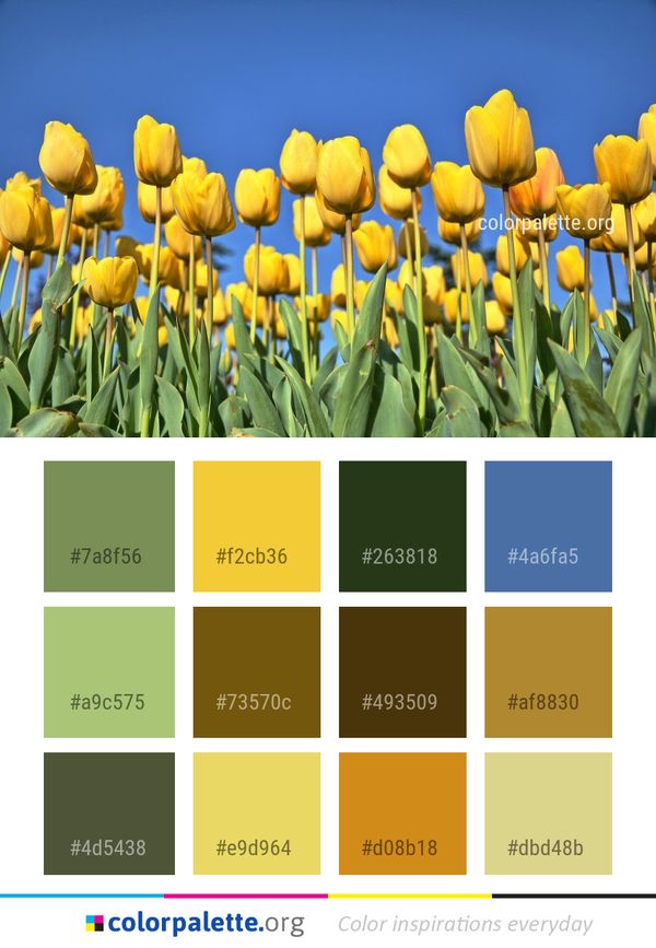 Flower Plant Yellow Color Palette