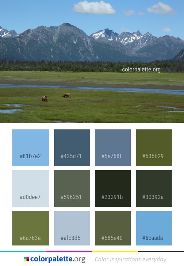 Grassland Wilderness Ecosystem Color Palette