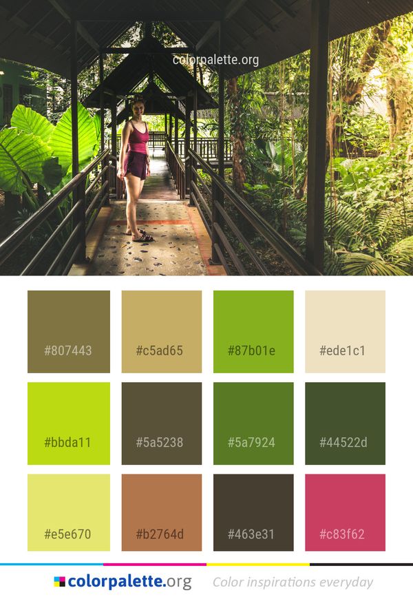 Green Nature Plant Color Palette