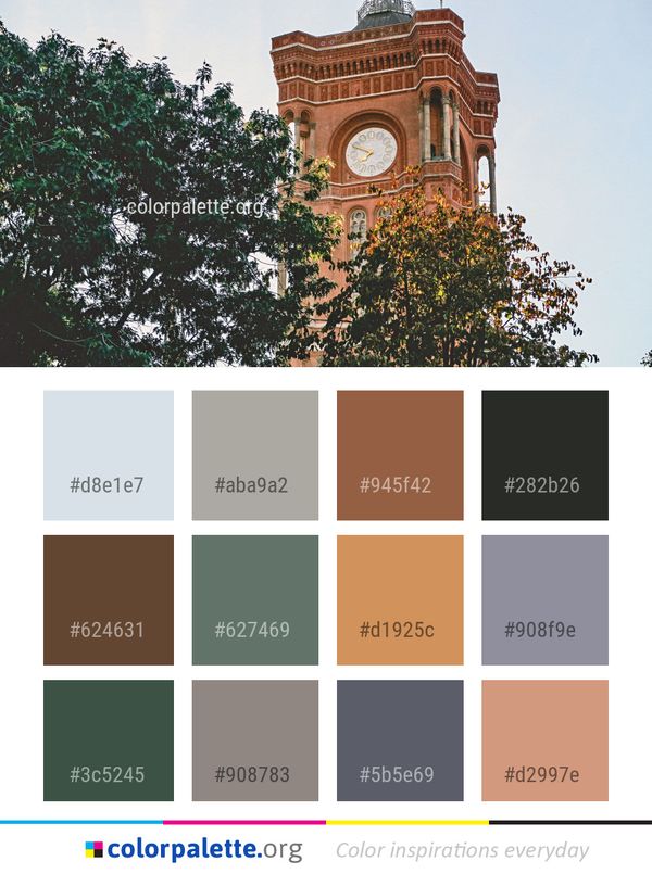 Landmark Tree Sky Color Palette