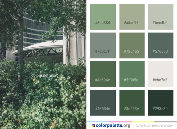 Plant Tree Garden Color Palette