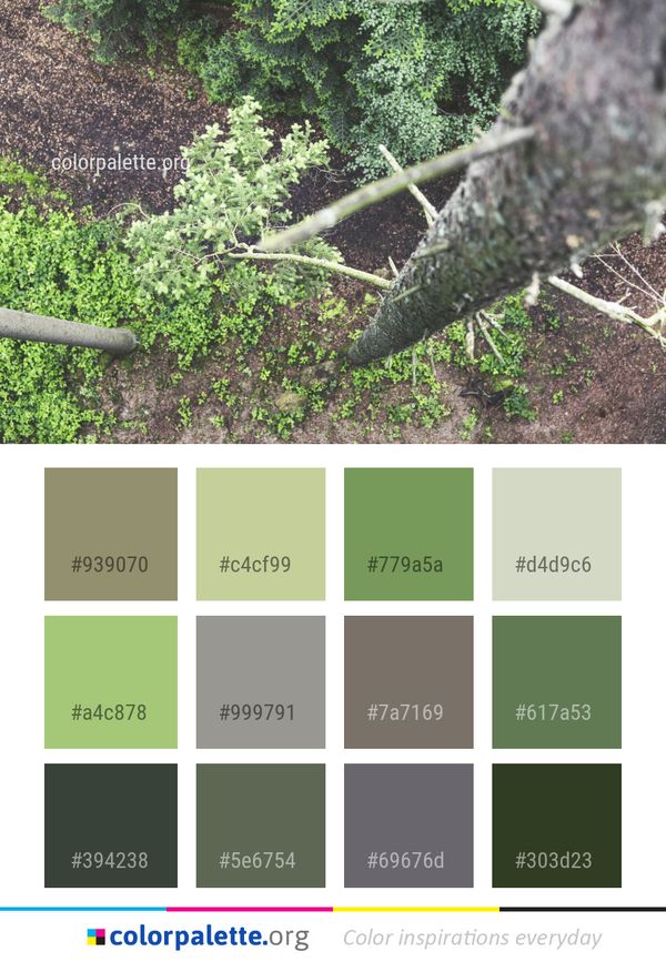 Vegetation Plant Tree Color Palette