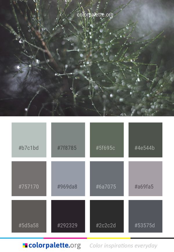 Water Vegetation Branch Color Palette