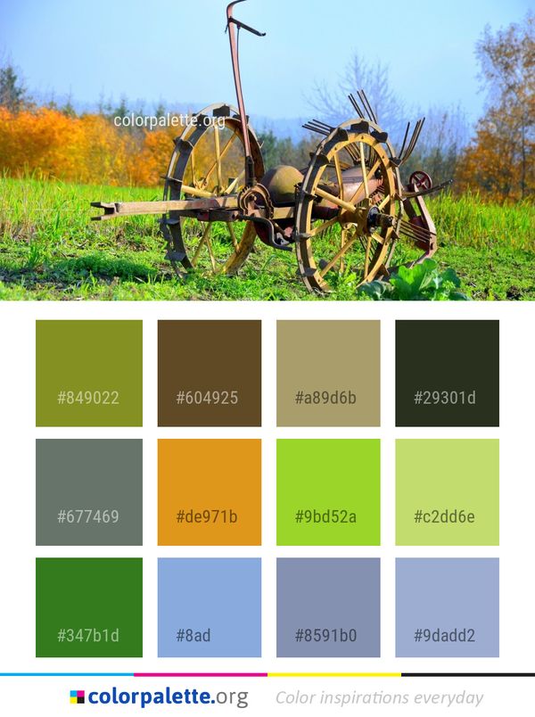 Field Agriculture Grass Color Palette
