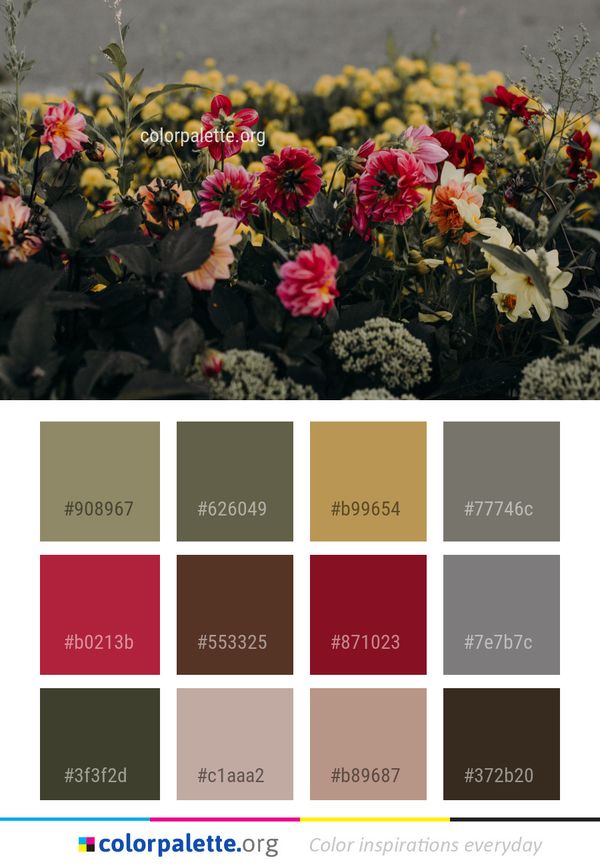 Flower Plant Flowering Color Palette
