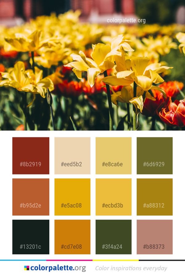 Flower Plant Yellow Color Palette
