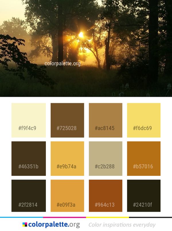 Nature Forest Ecosystem Color Palette