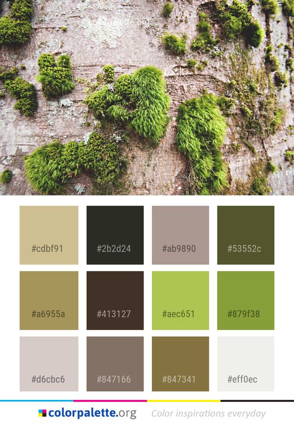 Plant Vegetation Moss Color Palette