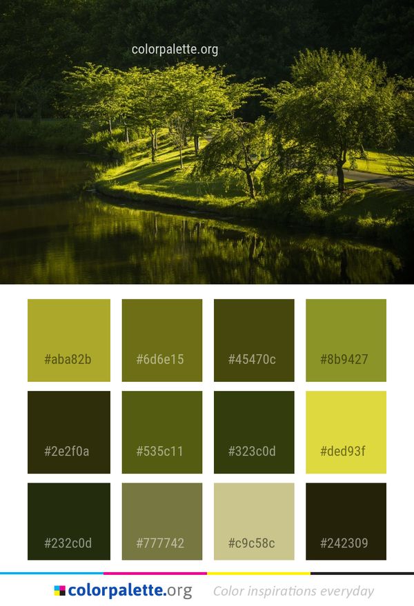 Reflection Nature Waterway Color Palette