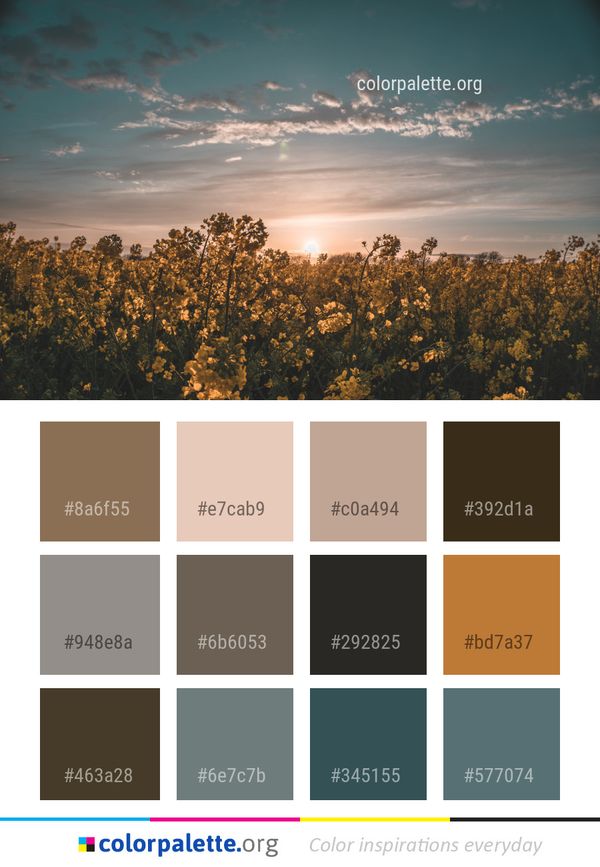 Sky Cloud Field Color Palette