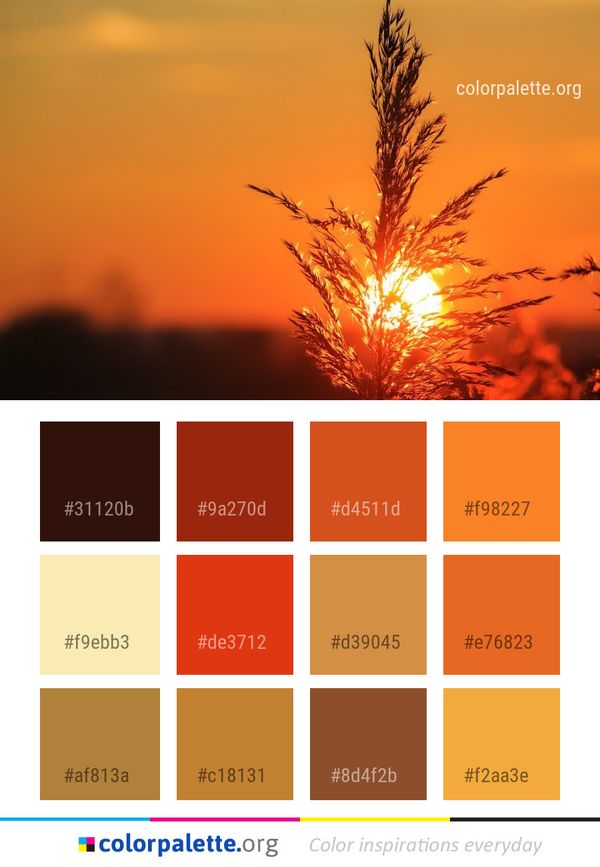 Sky Sun Morning Color Palette