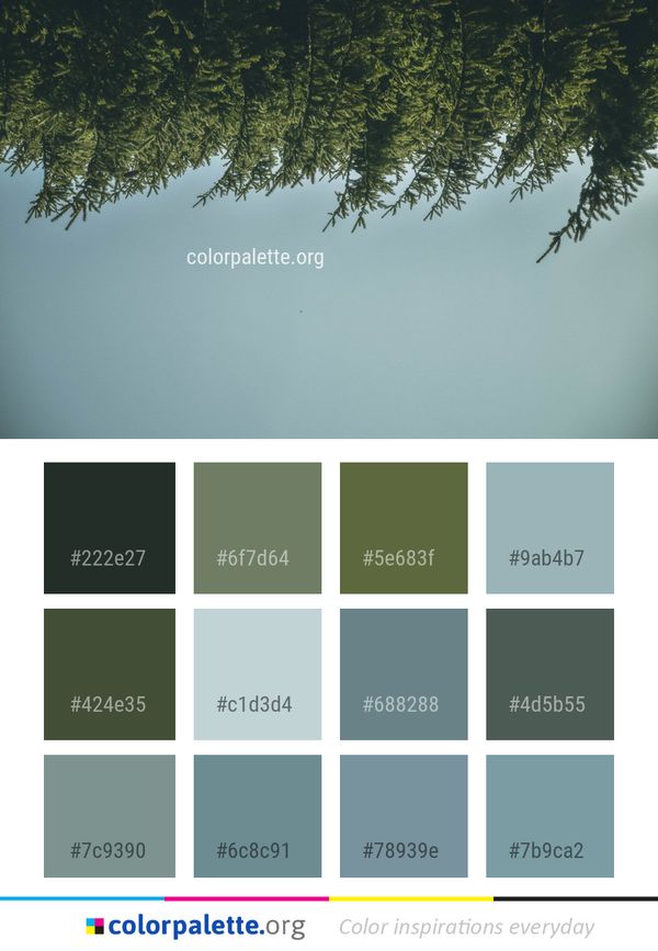 Vegetation Tree Leaf Color Palette