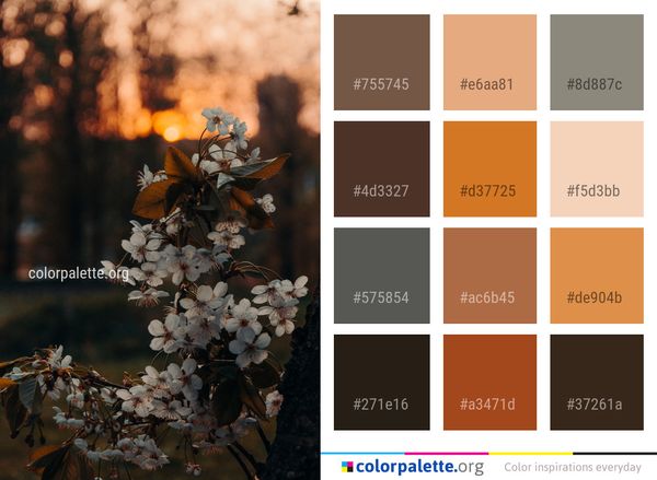 Blossom Plant Flower Color Palette