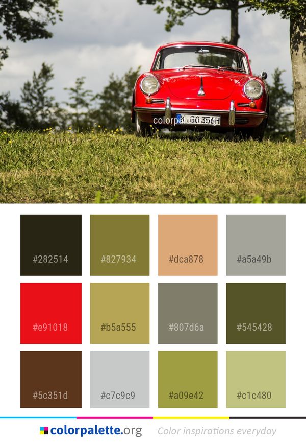 Car Motor Vehicle Plant Color Palette