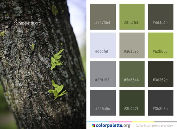 Flora Leaf Tree Color Palette