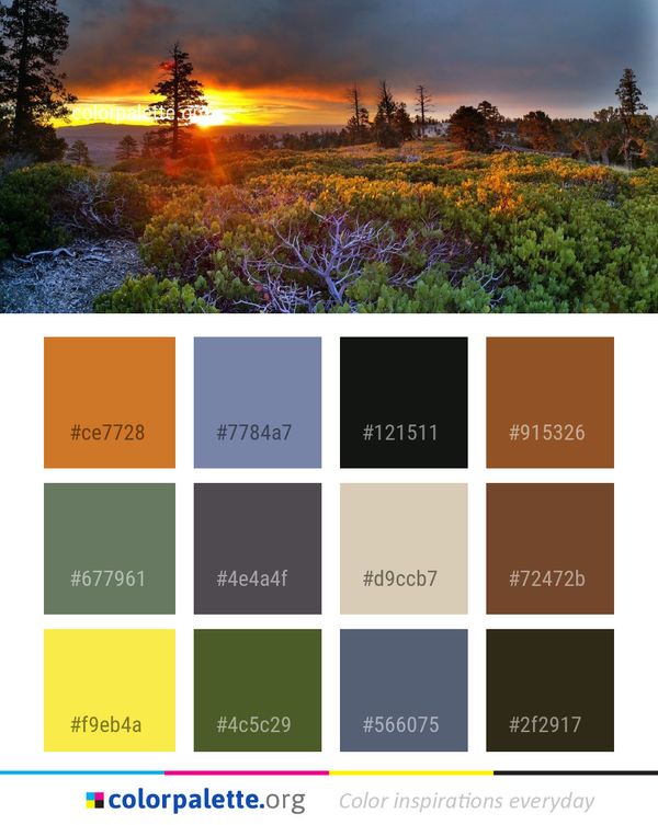 Nature Sky Wilderness Color Palette