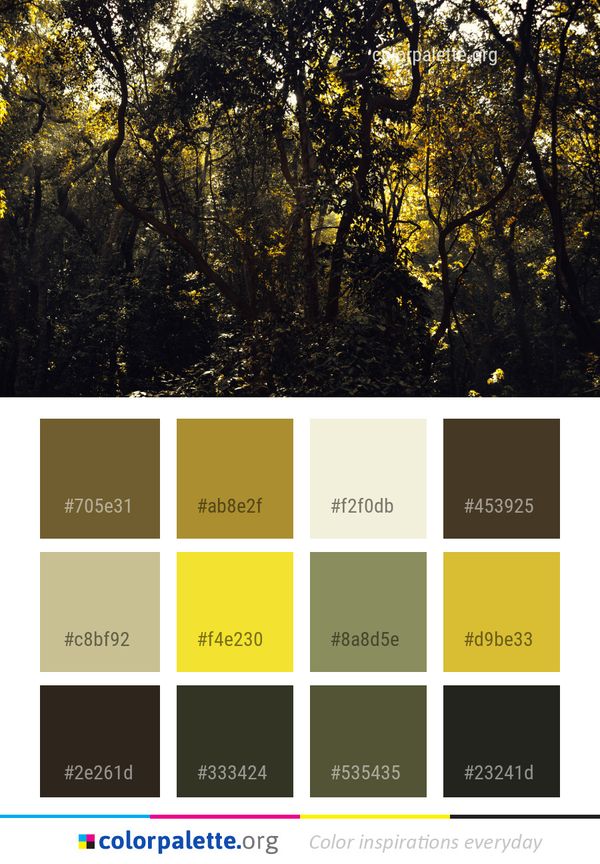 Nature Yellow Forest Color Palette