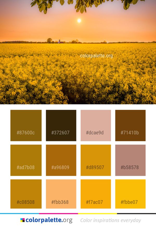 Rapeseed Canola Yellow Color Palette
