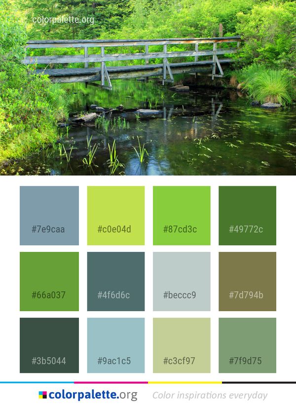 Reflection Water Nature Color Palette