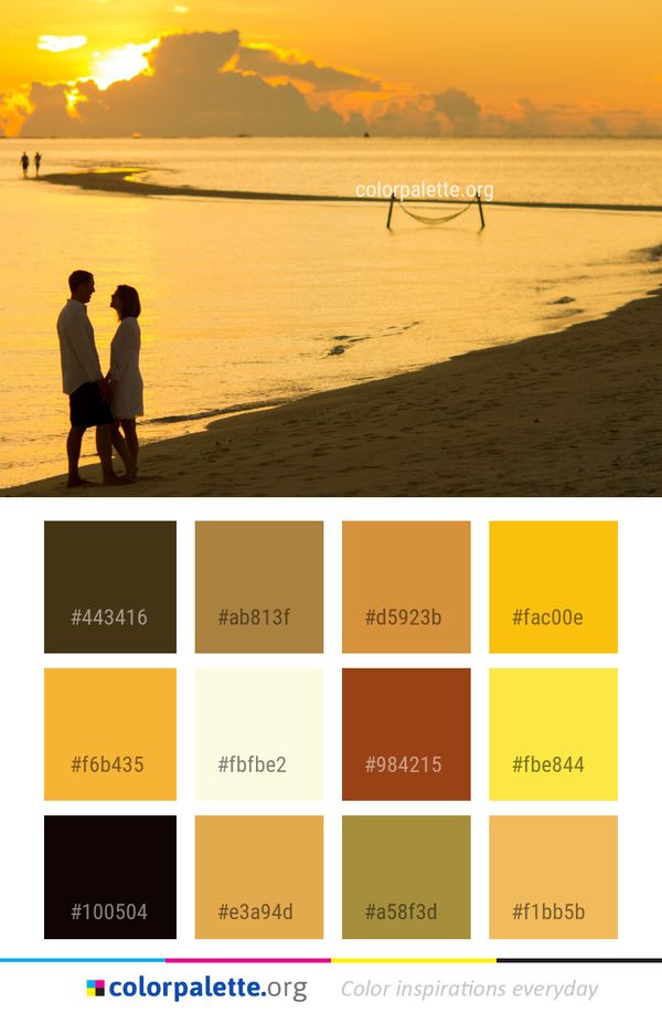 Sea Body Of Water Yellow Color Palette